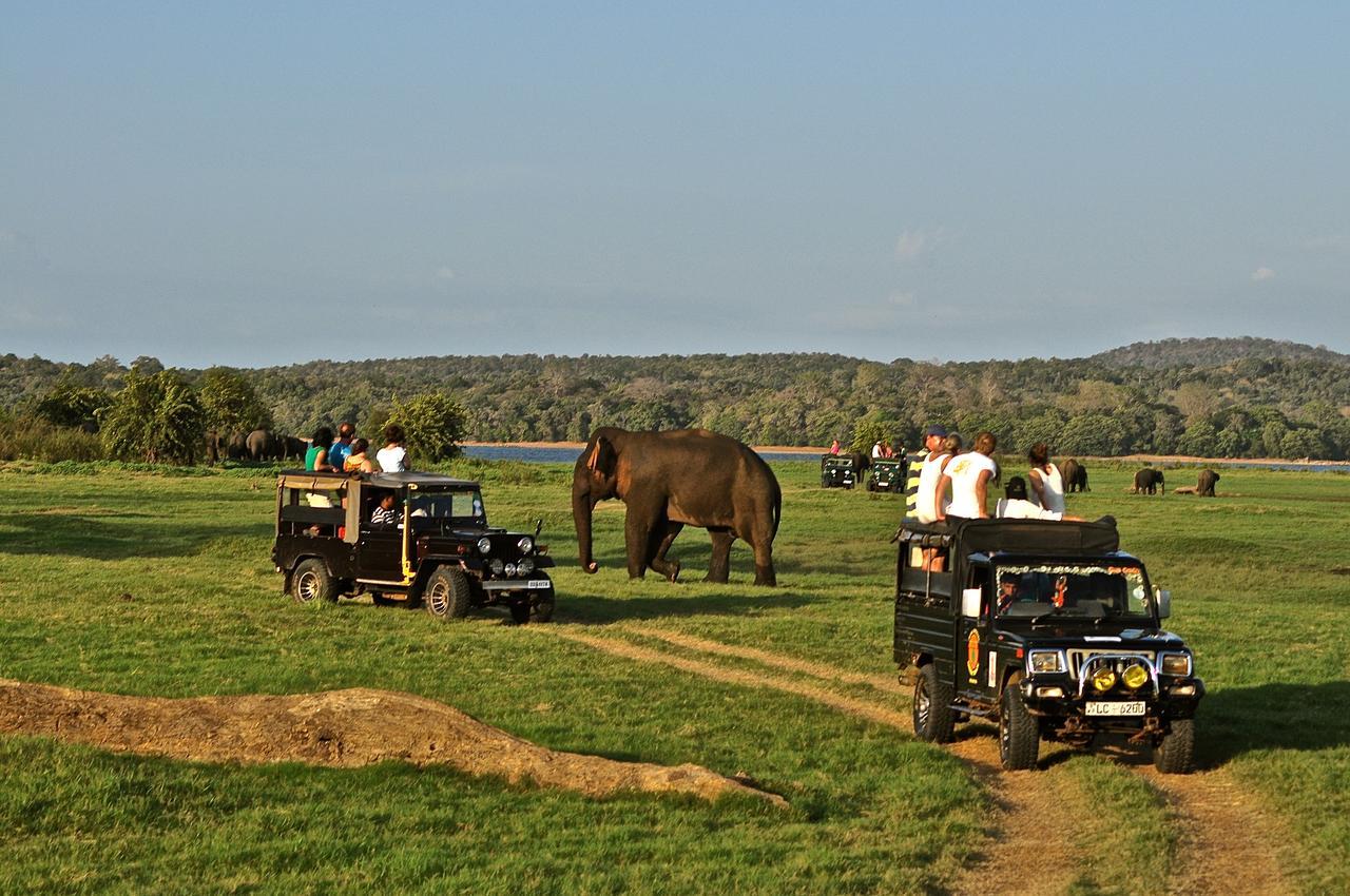 Kumbukgaha Villa Sigiriya Bagian luar foto